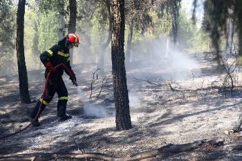 Πυροσβέστης μέσα στα αποκαΐδια του Σέιχ Σου