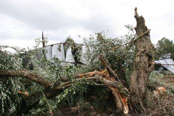 Καλλιέργειες, κτίσματα και υποδομές κρίσιμες για τους αγροτοκτηνοτρόφους καταστράφηκαν από τη σφοδρή κακοκαιρία