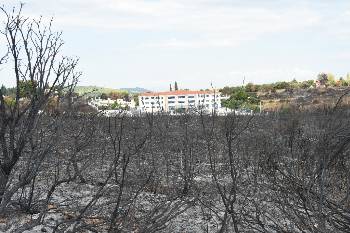 Το γκρίζο της στάχτης είναι πλέον η νέα εικόνα στα δάση της Ανατολικής Αττικής