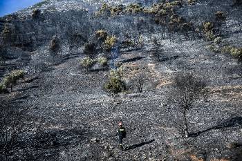 Μαυρισμένες οι πλαγιές του Υμηττού