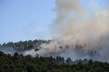 ΑΥΓΟΥΣΤΟΣ 2019: Χιλιάδες στρέμματα δάσους γίνονται στάχτη στην Κεντρική Εύβοια. Δεν έγιναν ποτέ τα απαραίτητα αντιπλημμυρικά έργα για την προστασία της περιοχής