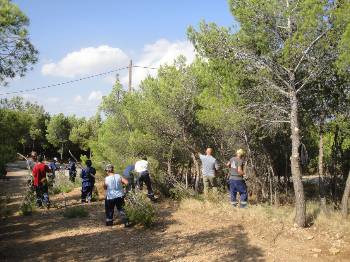 Αποτέλεσμα εικόνας για δασικη υπηρεσια συμβασιουχοι