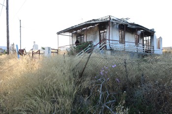 Μάτι δυο χρόνια μετά. Τα κουφάρια στέκουν μέσα στα χόρτα που έχουν αγριέψει