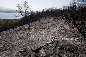 Ο,τι απέμεινε μετά την πυρκαγιά στον Ερημίτη