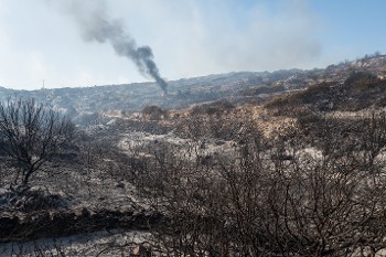 Καμένες εκτάσεις στη νότια Πάρο