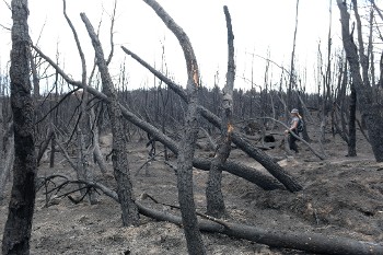 Κρανίου τόπος μεγάλο τμήμα της Πάρνηθας πάνω από τους Θρακομακεδόνες και τη Βαρυμπόμπη