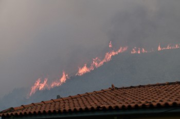 Από την πυρκαγιά στη Βάλμη Ηλείας