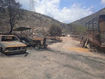 Κατεστραμμένος εξοπλισμός και ελαιοπαραγωγή