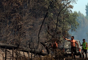 Εθελοντές απομακρύνουν καμένα πεύκα στη νοτιοδυτική Γαλλία
