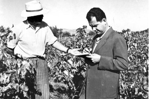Απεσταλμένος με τον φωτογράφο Σπύρο Μελετζή για αγροτικό ρεπορτάζ, ο Νίκος Καραντηνός συνομιλεί με αγρότες (φωτ. Σπ. Μελετζή)