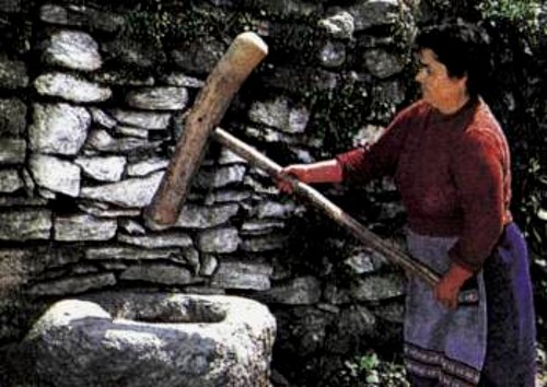 Η γυναίκα ετοιμάζει με τον ξύλινο κόπανο το σιτάρι για τα «υψώματα» των εορτών ή τα μνημόσυνα. Πιθανότατα, το πέτρινο τουμπέκι να χρησίμευε άλλοτε στην επεξεργασία του ριζαριού