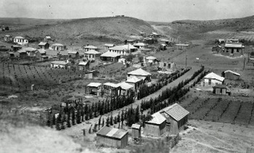 Οικισμός Εβραίων εποίκων, Μπνέι Μπρακ 1931