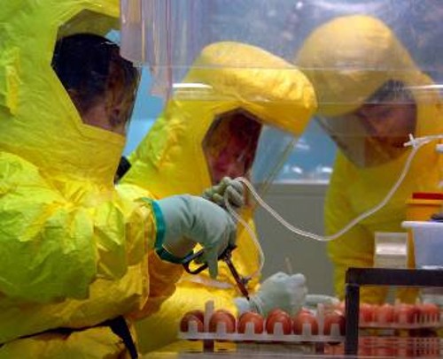 Δοκιμές για εμβόλιο αντιμετώπισης του ιού της γρίπης των πτηνών H5N1