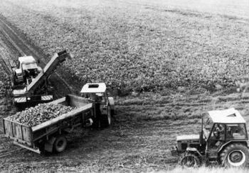 Η αγροτική οικονομία ήταν η βάση για τη διατροφική επάρκεια της σοσιαλιστικής Τσεχοσλοβακίας
