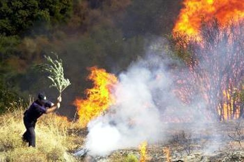 Σα να μην έφταναν οι πυρκαγιές, μπουρλότο στα δάση βάζει και η πολιτική των κυβερνήσεων ΝΔ και ΠΑΣΟΚ
