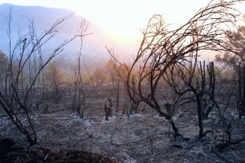 Η καμένη σήμερα περιοχή, στη λίμνη Καϊάφα, αποτελεί ένα αυριανό «φιλέτο» για το μεγάλο κεφάλαιο