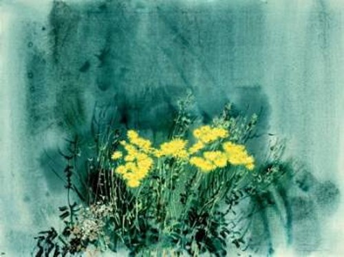 «Κίτρινα Αγριολούλουδα», 1981