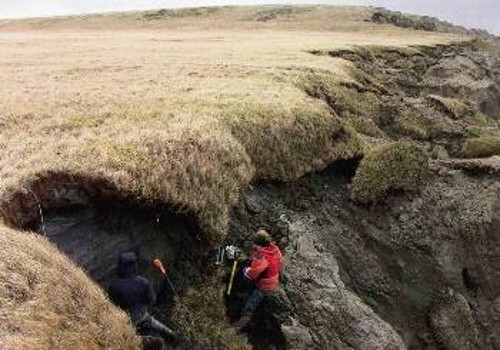 Ερευνητές παίρνουν δείγμα από το αιώνια παγωμένο έδαφος (γκρι) που έχει αποκαλυφθεί σε μια περιοχή της Σιβηρίας. Στο πάνω μέρος φαίνεται το κάλυμμα πάχους μισού μέτρου από χώμα και βλάστηση