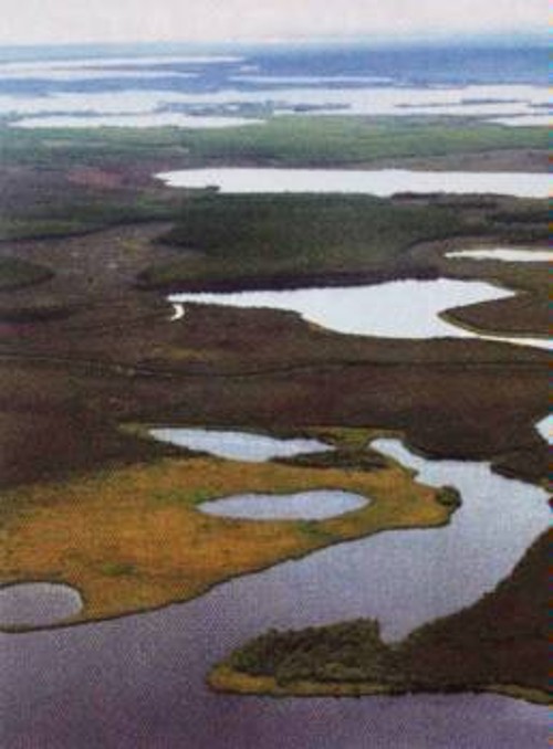 Χιλιάδες νέες λίμνες σχηματίζονται χρόνο με το χρόνο στη Σιβηρία, καθώς ο ζεστότερος από το παρελθόν αέρας, λιώνει το ως τώρα αιώνια παγωμένο έδαφος