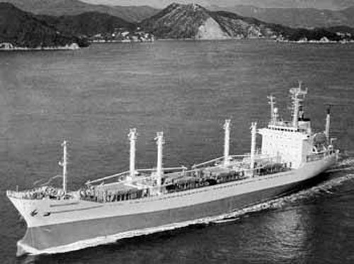 Το φορτηγό πλοίο «Αϊρον Αντώνης», το οποίο βυθίστηκε το 1994. Ενώ είχε απορριφθεί από το Γαλλικό Νηογνώμονα ως μη αξιόπλοο, εγκρίθηκε από τον Ελληνικό Νηογνώμονα. Στο ναυάγιο σκοτώθηκαν 24 ναυτεργάτες