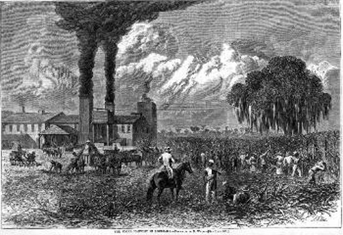 Εργάτες σε συγκομιδή ζάχαρης στη Λουιζιάνα των ΗΠΑ, δίπλα στο εργοστάσιο ζάχαρης, 1870-1880