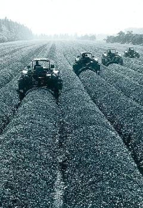 Μετά το 20ό Συνέδριο του ΚΚΣΕ, σταδιακά όλα τα κρατικά αγροκτήματα (σοβχόζ) πέρασαν σε καθεστώς πλήρους ιδιοσυντήρησης, ενώ ενισχύθηκε και η ομαδική ιδιοκτησία στον αγροτικό τομέα (κολχόζ). Εξασθένισε ο κεντρικός επιστημονικός σχεδιασμός της παραγωγής, ενισχύθηκαν οι δυνατότητες ατομικού σφετερισμού του κοινωνικού πλούτου