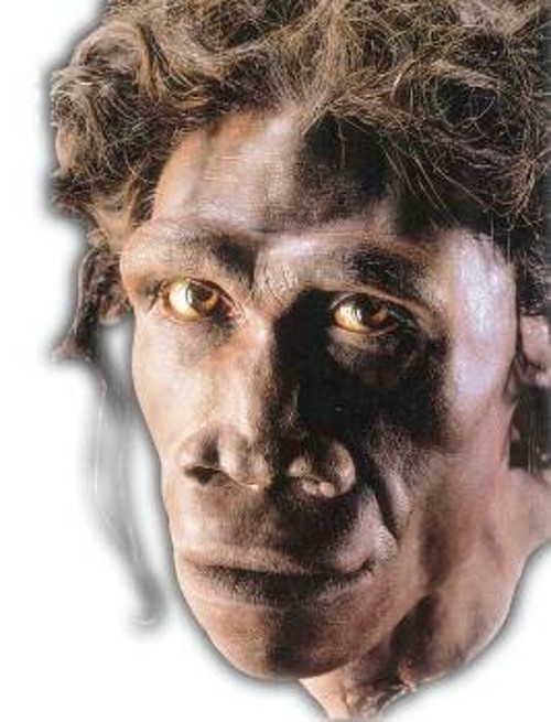 Ανθρωπος ο όρθιος (χόμο ερέκτους) (πριν 1.900.000 έως 250.000 χρόνια)