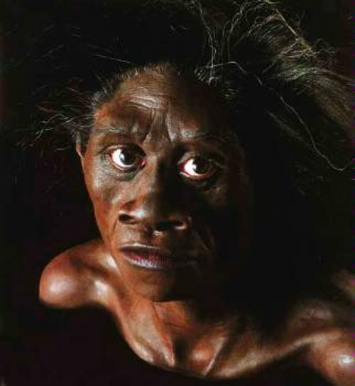 Ανθρωπος του Φλόρες (πριν 75.000-15.000 χρόνια)