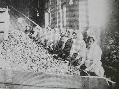 Εργάτριες της εποχής, σε χειροδιαλογή μεταλλευμάτων στο μεταλλοπλύσιο της Γαλλικής Εταιρείας CFML στον Κυπριανό του Λαυρίου