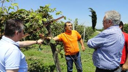 Αγρότες δείχνουν την κατεστραμμένη παραγωγή στον ευρωβουλευτή του ΚΚΕ Σ. Ζαριανόπουλο, που περιόδευσε σε Πέλλα - Ημαθία