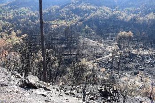 Τεράστιες είναι οι καταστροφές στη Θάσο από τις πρόσφατες πυρκαγιές