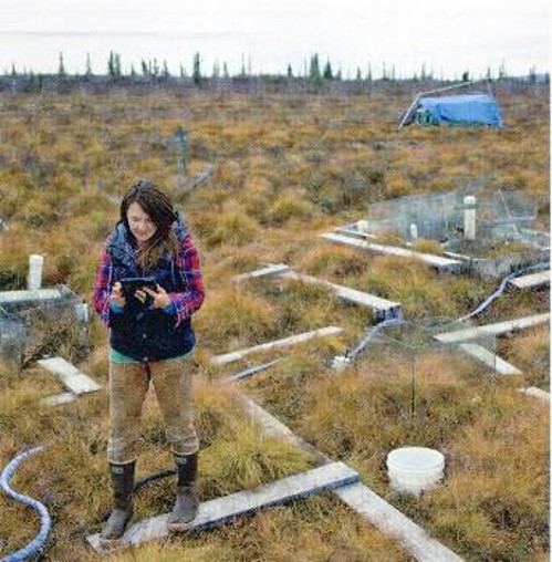 Αισθητήρες μπηγμένοι μέσα στο χώμα στην τούνδρα της Αλάσκας μετρούν την πρόσληψη και αποβολή άνθρακα από το έδαφος