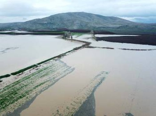 Οι πλημμύρες στα Φάρσαλα δημιούργησαν μεγάλες ζημιές σε καλλιέργειες