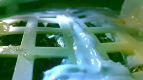Με επιτυχία αναπτύχθηκαν φυτά βαμβακιού και άλλα φυτά στο βαρυτικό περιβάλλον της Σελήνης, μέσα στην πειραματική συσκευή μίνι βιόσφαιρας, εντός του «Τσανγκ-ι»