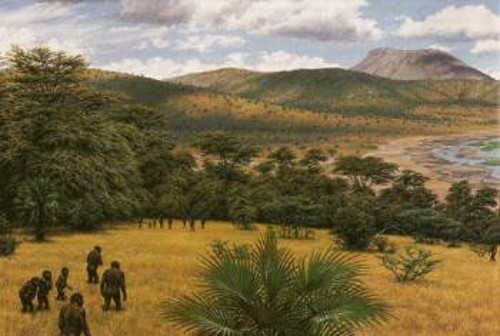 Αν και οι παλαιοανθρωπολόγοι δεν έχουν ιδέα αν και πώς αλληλεπιδρούσαν τα 4 είδη ανθρωπίδων που ζούσαν πριν 1,8 εκατ. χρόνια γύρω από τη λίμνη Τουρκάνα της Κένιας, ξέρουν με βεβαιότητα ότι ο παράνθρωπος μποϊσέι, ο χόμο ρουντολφένσις, ο χόμο χάμπιλις και ο χόμο εργάστερ αναζητούσαν τροφή στις ίδιες περιοχές