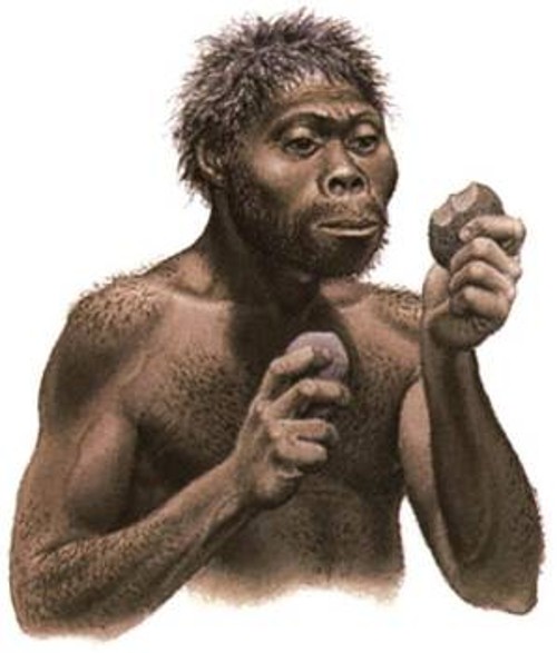 Ο χόμο χάμπιλις (άνθρωπος πολυτεχνίτης) ονομάστηκε έτσι γιατί πιστεύεται ότι είναι ο δημιουργός των ηλικίας 1,8 εκατ. ετών λίθινων εργαλείων που ανακαλύφθηκαν στο φαράγγι Οντουλβαϊ, στην Τανζανία. Κατασκεύαζε κοφτερές λεπίδες, χτυπώντας μεταξύ τους κατάλληλες πέτρες