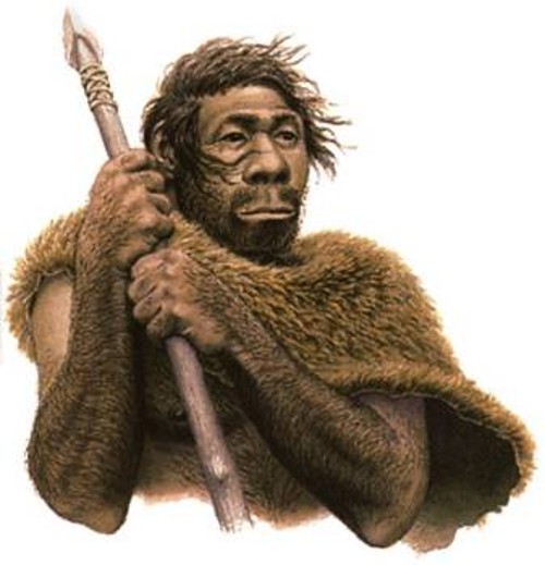 Οι ανθρωπίδες που μοιάζουν σωματικά με τον σημερινό άνθρωπο εμφανίστηκαν στην Αφρική πριν 150.000 χρόνια και συνυπήρξαν με άλλους ανθρωπίδες για αρκετό καιρό μέχρι που το είδος μας να κυριαρχήσει. Μέχρι πριν περίπου 30.000 χρόνια, ζούσαν μαζί με τους Νεάντερνταλ (αριστερά) στην Ευρώπη και τη Μέση Ανατολή και ίσως ήταν σύγχρονοι με τον χόμο ερέκτους (δεξιά), που τότε ζούσε στην Ιάβα