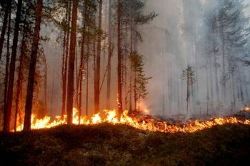 Πυρκαγιά κατακαίει δάση στη Σουηδία τον Ιούλη του 2018, μετά από μια ασυνήθιστη περίοδο μεγάλων θερμοκρασιών και ξηρασίας