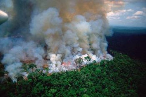 Η τεράστια πυρκαγιά στο παρθένο δάσος του Αμαζονίου