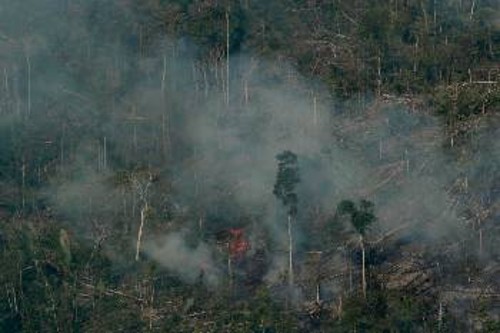 Εκατοντάδες χιλιάδες στρέμματα δάσους έχουν γίνει στάχτη