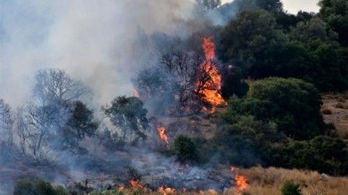 Η χτεσινή φωτιά στο Κυπαρίσσι στη βόρεια Εύβοια