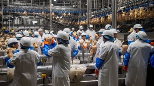 Μονάδα παραγωγής κρέατος στη Βραζιλία
