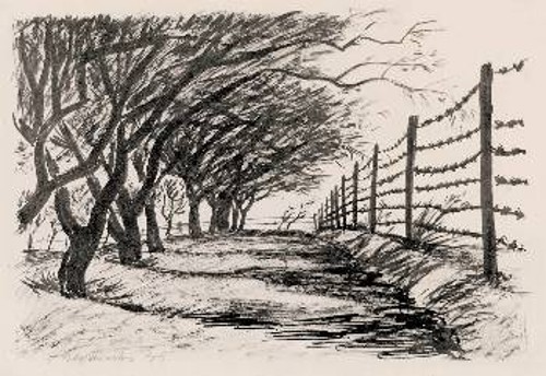 Γ. Στεφανίδη,«Τα δέντρα, το συρματόπλεγμα» (1949)