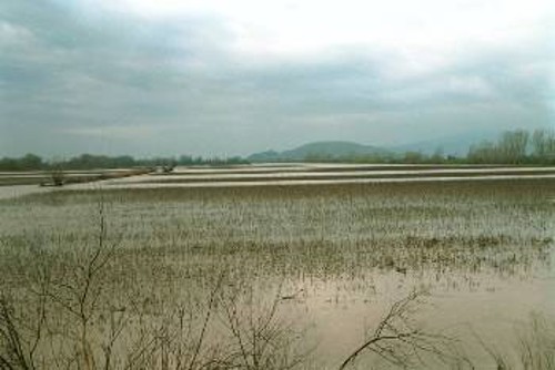Γενάρης 2003: Μεγάλες ζημιές σε καλλιέργειες στην Καρδίτσα