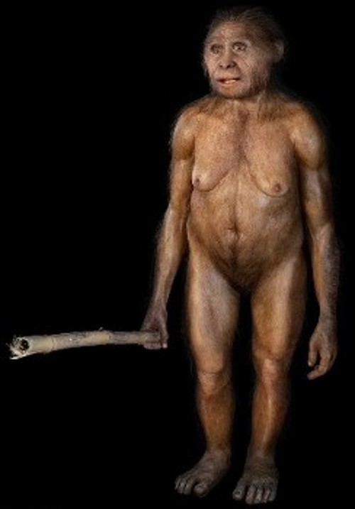 Απεικόνιση του Homo floresiensis. Τα συγκριτικά με το σώμα του μεγάλα και χωρίς καμάρα πόδια, θα τον ανάγκαζαν να κάνει μικρά βήματα σηκώνοντάς τα ψηλά, σαν να φορούσε χιονοπέδιλα