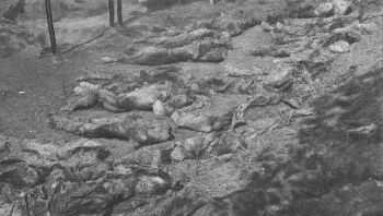 Οι σφαίρες που βρέθηκαν στον τόπο των εκτελέσεων είχαν παραχθεί στη Γερμανία, γεγονός που επιβεβαιώνεται και από τις ημερολογιακές καταχωρίσεις του Γκαίμπελς