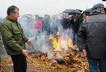 Σε απόγνωση οδηγεί χιλιάδες Ελληνες καπνοπαραγωγούς και άλλους αγρότες η πολιτική της ΚΑΠ