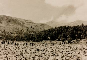 Meros75_Photo1_small.jpg